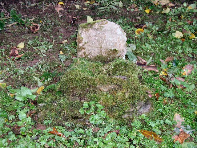 Colaiste Ide Ogham Stones